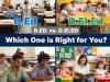 B.Ed. vs. D.El.Ed.: Which One is Right for You?
